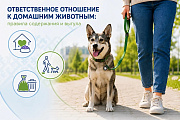 Ответственное отношение к домашним животным: правила содержания и выгула