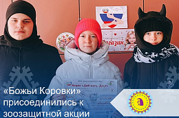 «Божьи Коровки» присоединились к зоозащитной акции «Дай лапу, друг»