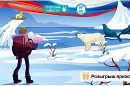 Проектный офис развития Арктики изучает мнение жителей Октябрьского района