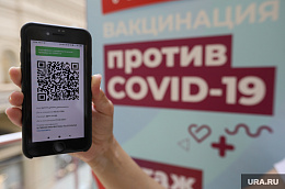 Cистема QR-кодов для посещения общественных мест вводится во всем регионе с 8 ноября. Рассказываем обо всем по порядку