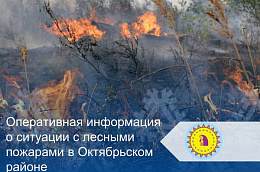 Оперативная информация о ситуации с лесными пожарами в Октябрьском районе
