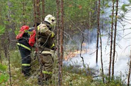 В ОКТЯБРЬСКОМ РАЙОНЕ ВВЕДЕН ОСОБЫЙ ПРОТИВОПОЖАРНЫЙ РЕЖИМ! 