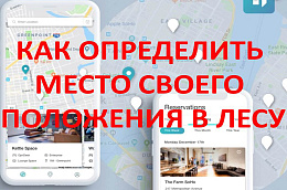 Как определить место своего положения в лесу