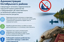 Администрация Октябрьского района информирует жителей о недопустимости нарушений правил рыболовства и предупреждает об ответственности за незаконную добычу водных биологических ресурсов.