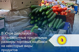 В Югре действуют установленные предельные размеры торговых надбавок на некоторые виды продуктов