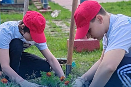 Озеленение Октябрьского района: лето в ярких красках