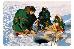 Если вы из числа КМНС и ведете традиционную промысловую деятельность, то эта информация для вас