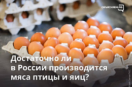 Достаточно ли в России производится мяса птицы и яиц?