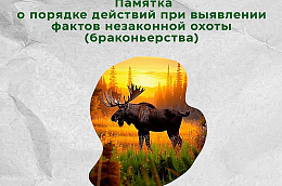 Незаконная охота — это преступление, которое наносит вред природе и угрожает жизни животных