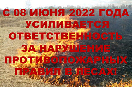 ЕДДС Октябрьского района информирует: с 08 июня 2022 года усиливается ответственность за нарушение противопожарных правил в лесах.