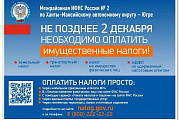 Всего несколько дней осталось до окончания срока уплаты налогов