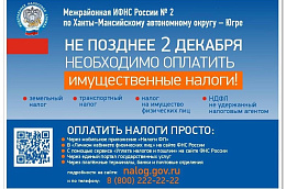 Всего несколько дней осталось до окончания срока уплаты налогов